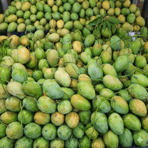 আম্রপালি আম (Amrapali Mango)