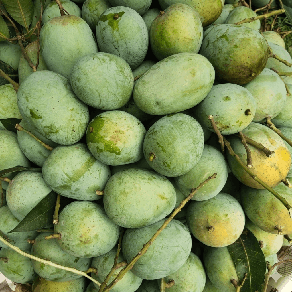 ল্যাংড়া আম (Langra Mango)