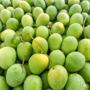 হিমসাগর / ক্ষীরশাপাত আম