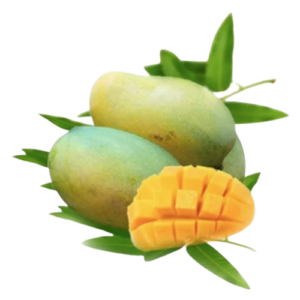 ফজলি