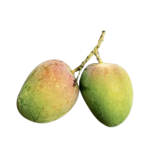 বারি-৪